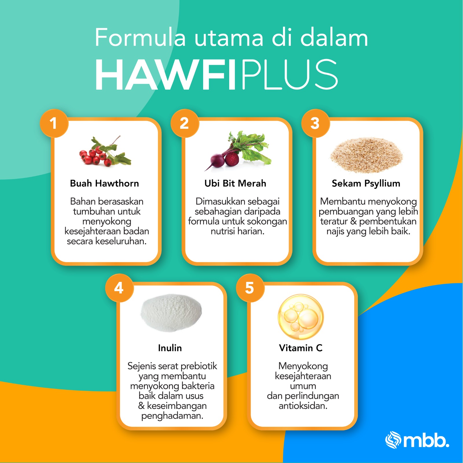 pthm26 (4)